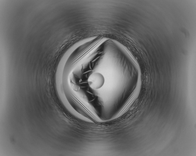 X0000113040750200909241434