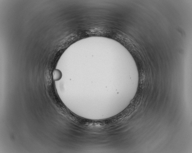X0000113040751200909241434