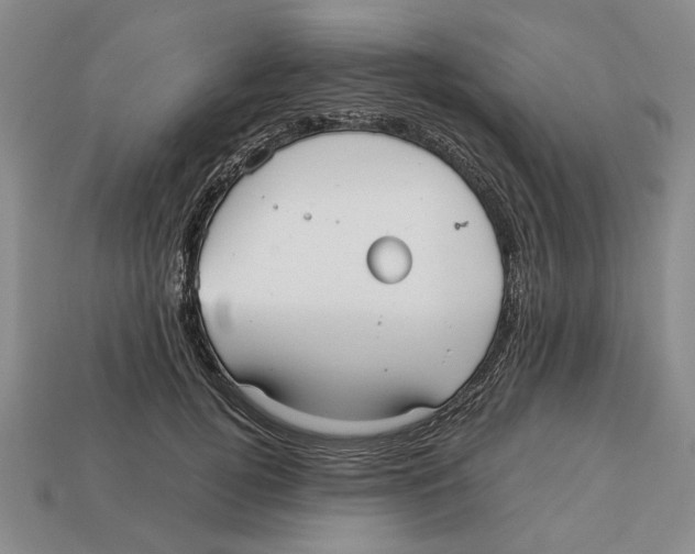 X0000113040752200909241434