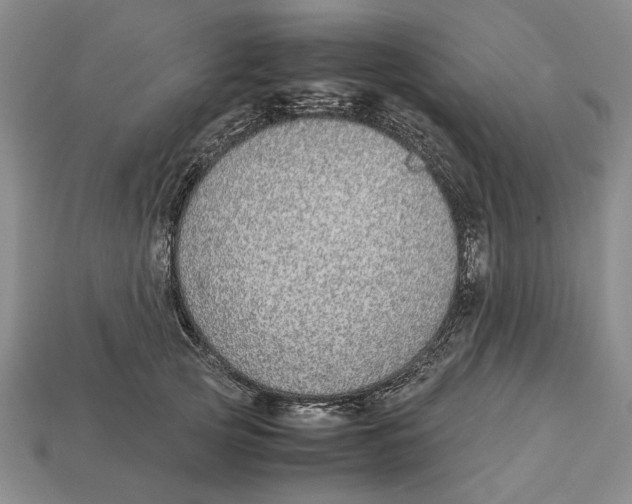 X0000113040753200909241434