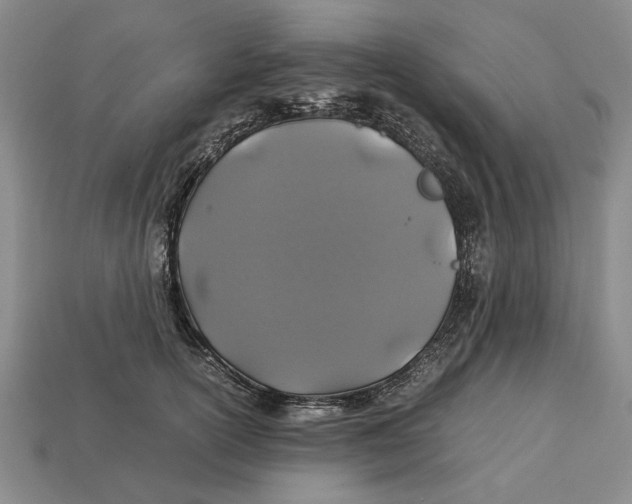 X0000113040754200909241434