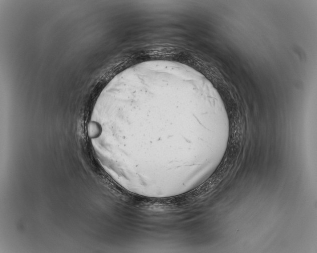 X0000113040755200909241434