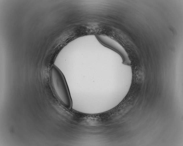 X0000113040756200909241434