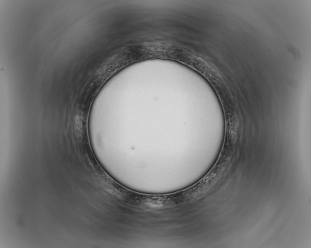 X0000113040757200909241434