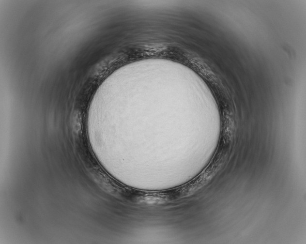 X0000113040758200909241434