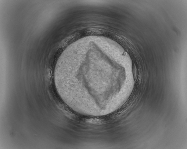 X0000113040759200909241434