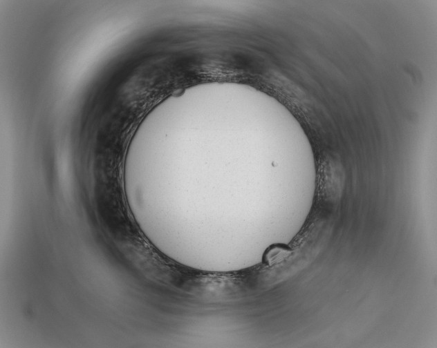 X0000113040762200909241434