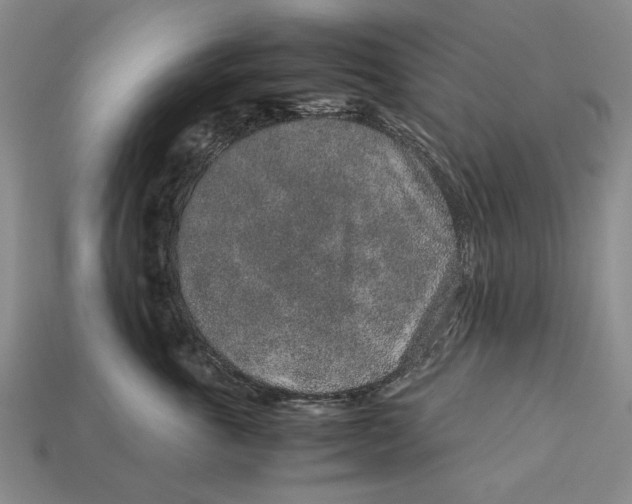 X0000113040763200909241434