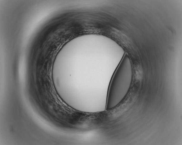 X0000113040764200909241434