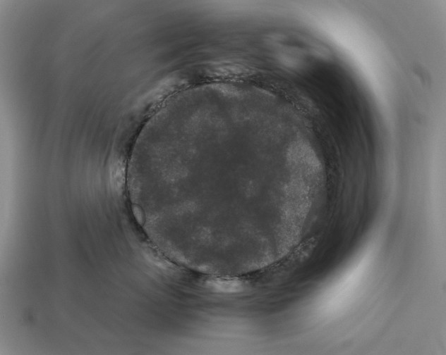 X0000113040767200909241434