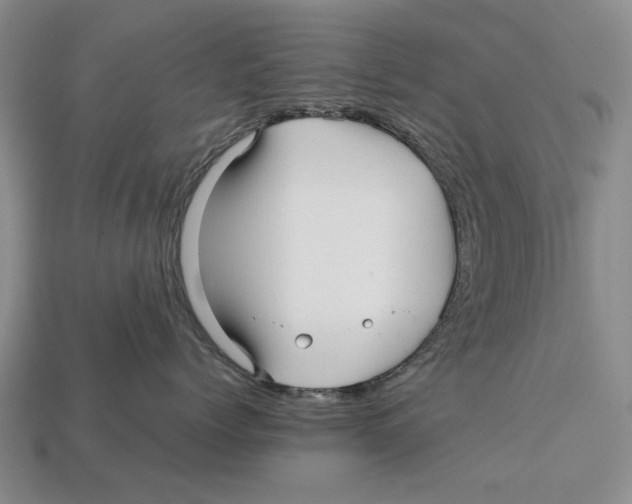 X0000113040768200909241434
