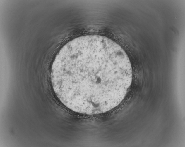 X0000113040769200909241434