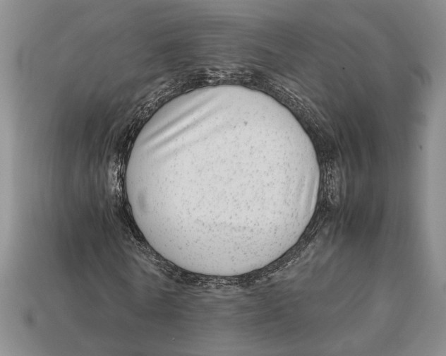 X0000113040770200909241434