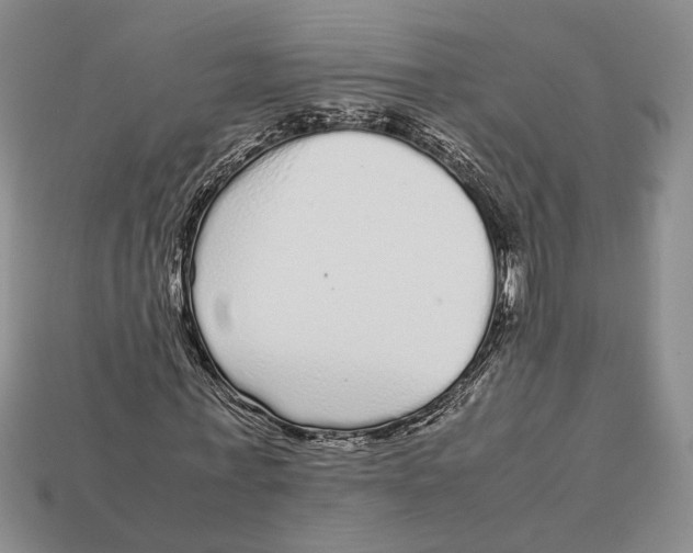 X0000113040771200909241434