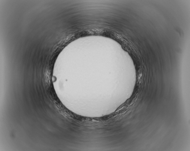 X0000113040772200909241434