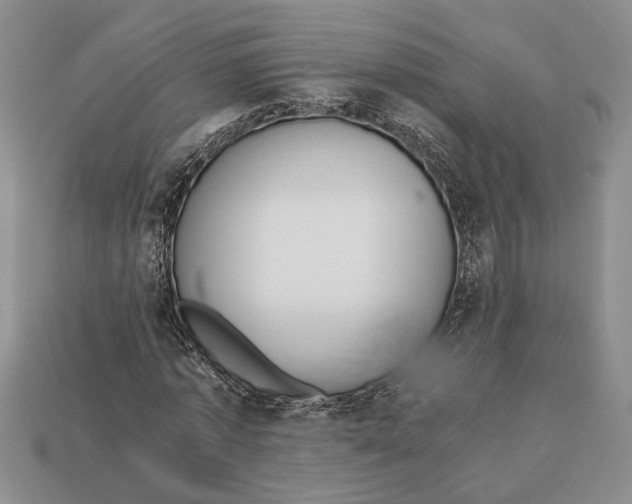 X0000113040773200909241433