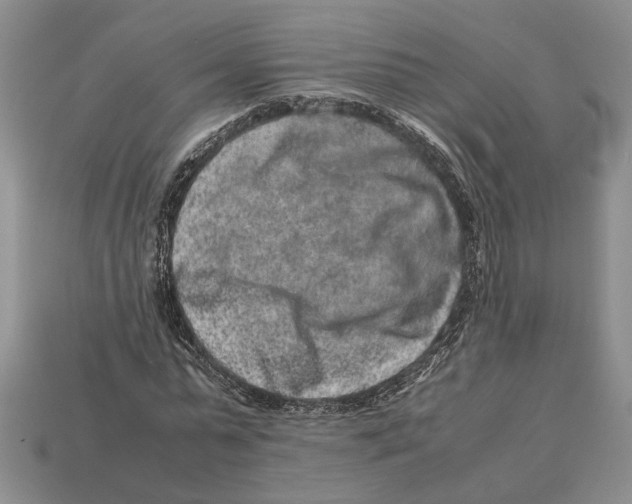 X0000113040775200909241433