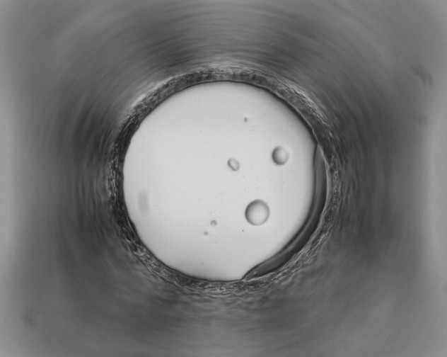 X0000113040776200909241433