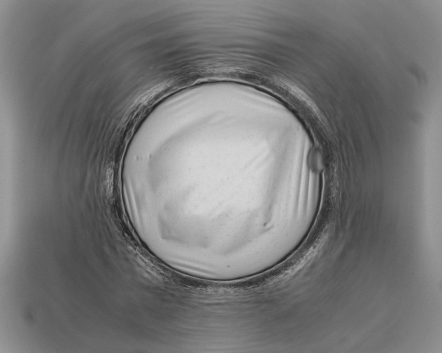 X0000113040777200909241433