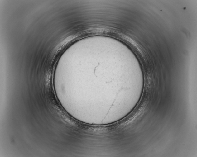 X0000113040778200909241433