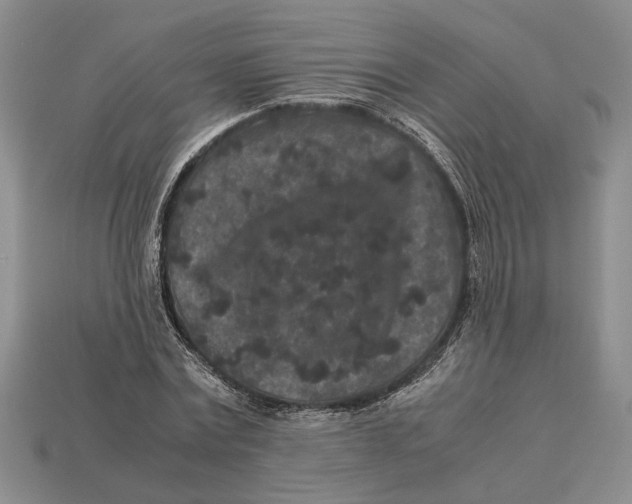 X0000113040779200909241433