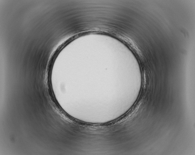 X0000113040780200909241433