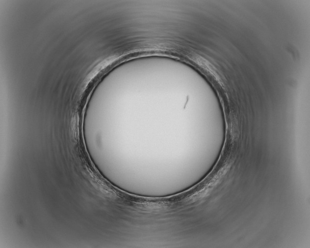 X0000113040781200909241433