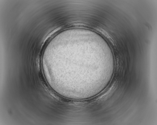 X0000113040782200909241433