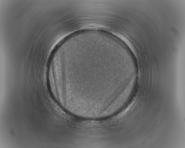 X0000113040783200909241433