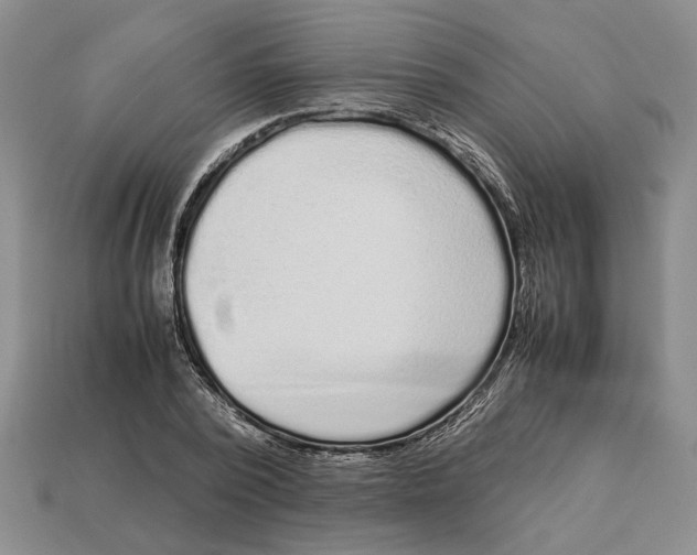 X0000113040784200909241433