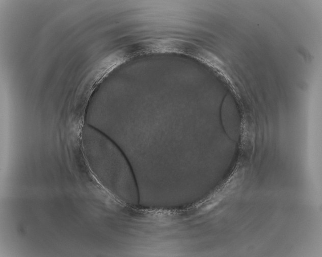 X0000113040785200909241433