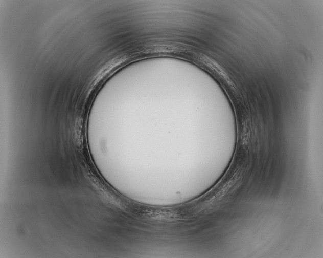 X0000113040786200909241433