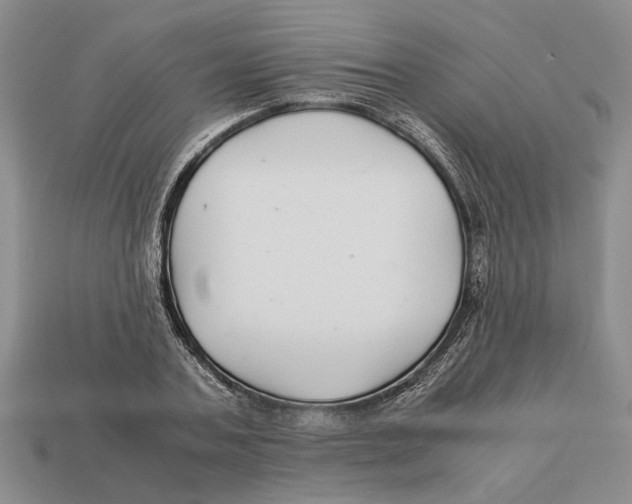 X0000113040787200909241433