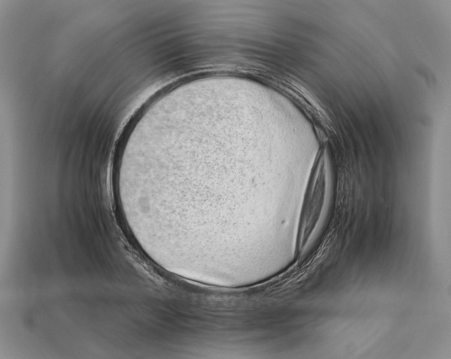 X0000113040788200909241433