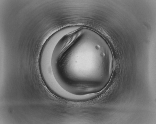 X0000113040789200909241433