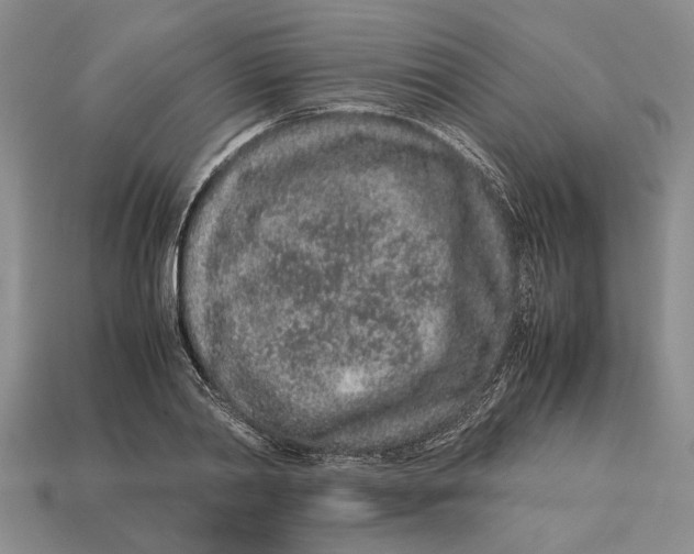 X0000113040790200909241433
