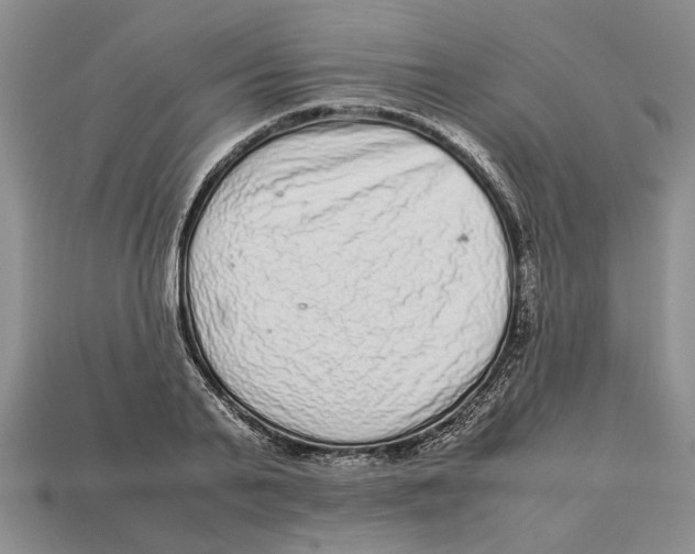 X0000113040791200909241433