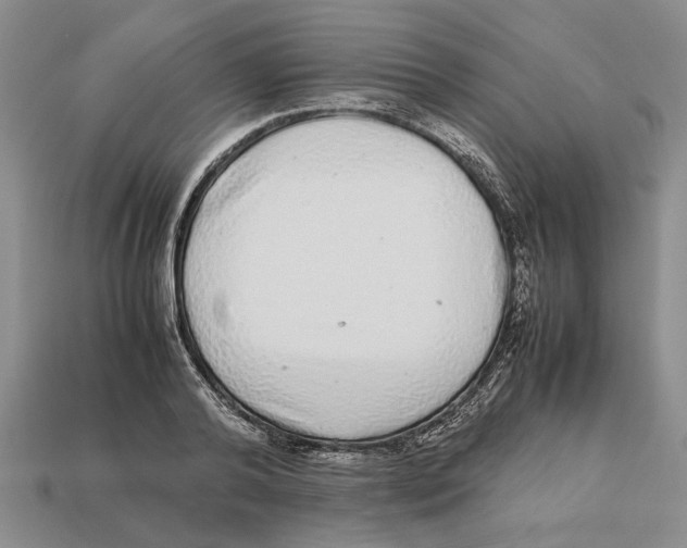 X0000113040792200909241433