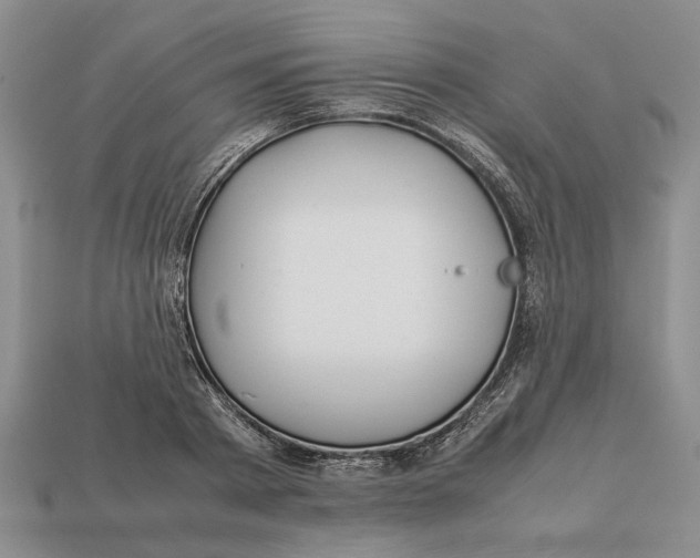 X0000113040793200909241433