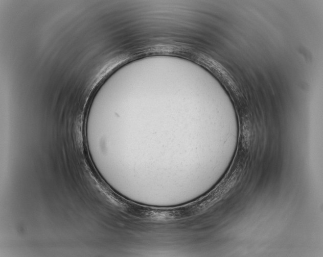 X0000113040794200909241433