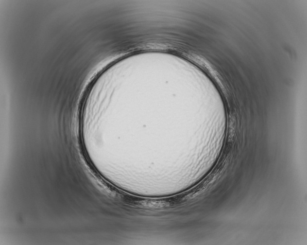 X0000113040795200909241433