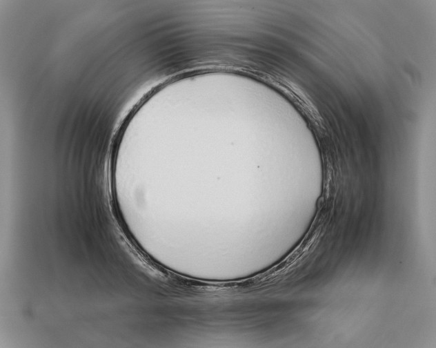 X0000113040796200909241433