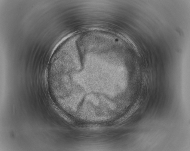 X0000113040798200909241433