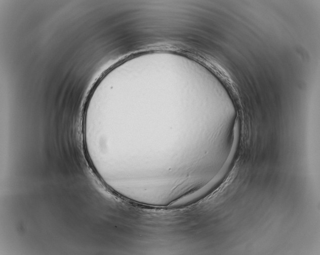 X0000113040800200909241433