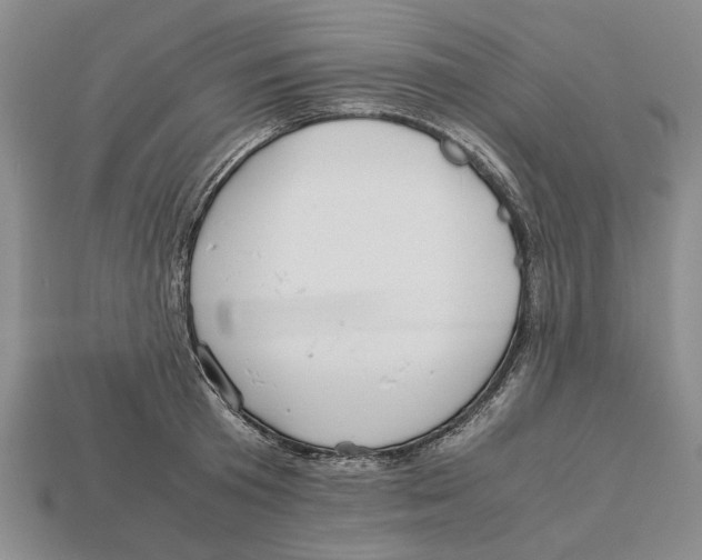 X0000113040801200909241433