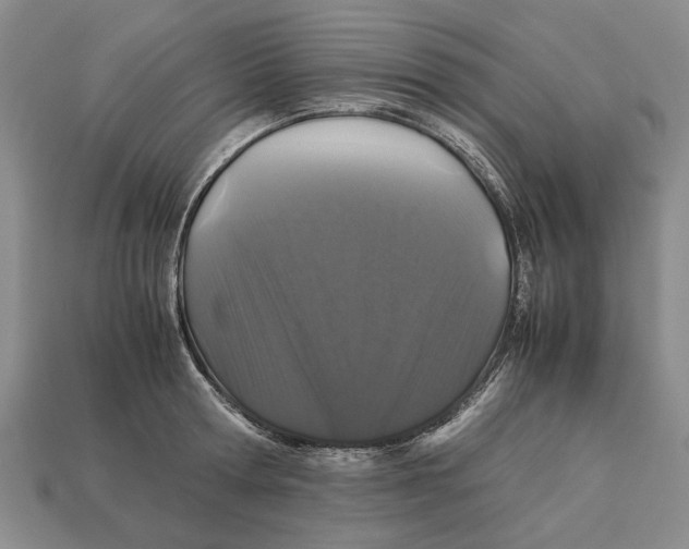 X0000113040802200909241433