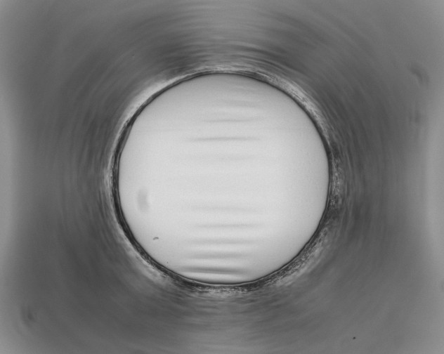 X0000113040803200909241433