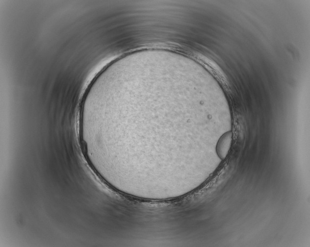 X0000113040804200909241433