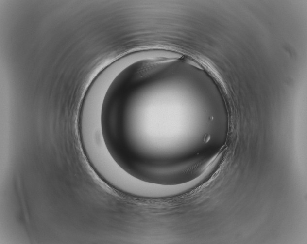 X0000113040805200909241433