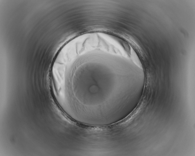 X0000113040806200909241433